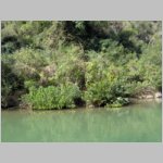 10Boca De Yuma_0307.JPG